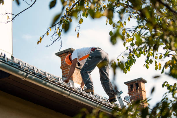 Best Flat Roof Repair Services  in Waterloo, IL