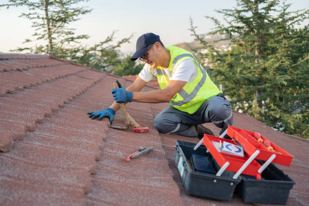 Best Commercial Roofing Services  in Waterloo, IL