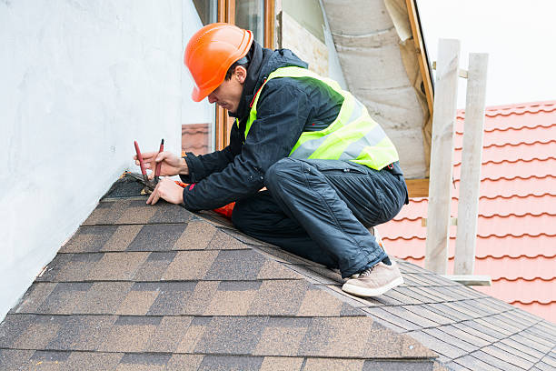 Best Metal Roofing Contractor  in Waterloo, IL
